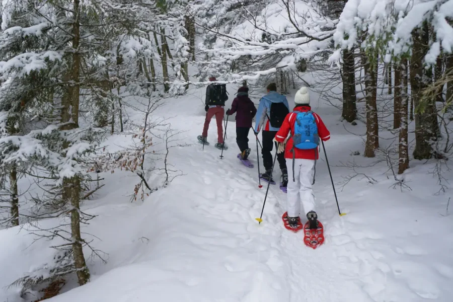 Snowshoeing in the Frozen Forest